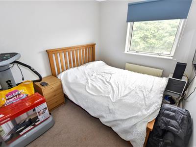 Picture 14